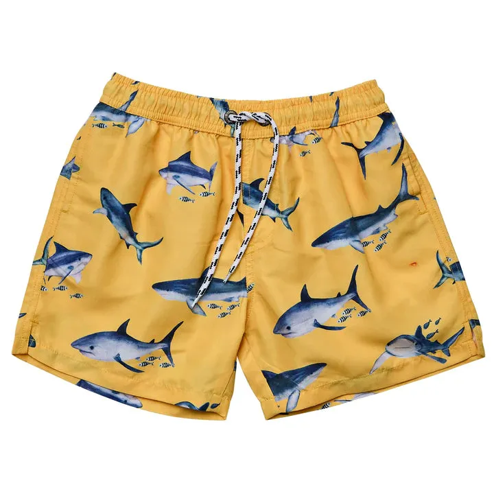 Snapper Rock Boys Sunrise Shark Volley Board Short (SALE)